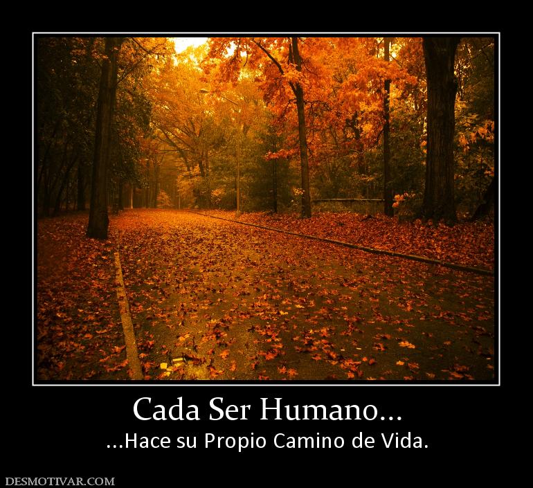 Cada Ser Humano... ...Hace su Propio Camino de Vida.