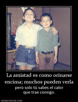 La amistad es como orinarse encima; muchos pueden verla pero solo tú sabes el calor que trae consigo.