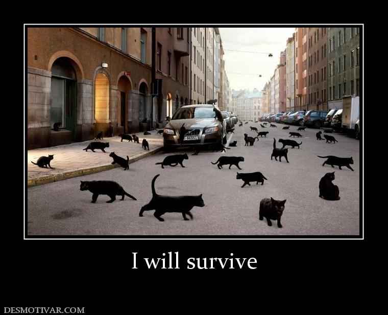 I will survive