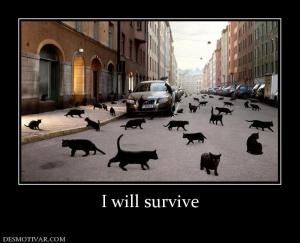 I will survive