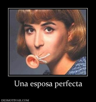 Una esposa perfecta