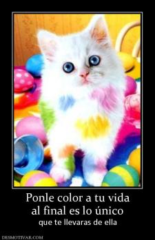 Ponle color a tu vida al final es lo único  que te llevaras de ella