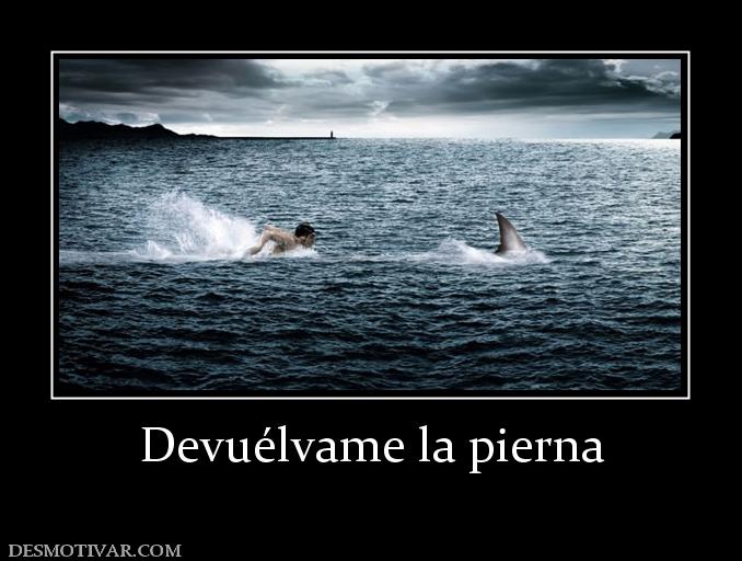 Devuélvame la pierna