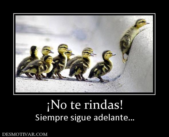 ¡No te rindas! Siempre sigue adelante…