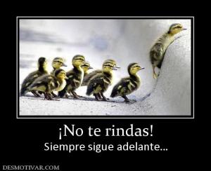 ¡No te rindas! Siempre sigue adelante…