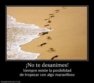 ¡No te desanimes! Siempre existe la posibilidad de tropezar con algo maravilloso