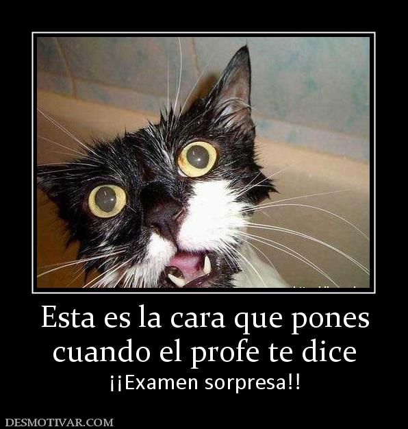 Esta es la cara que pones cuando el profe te dice ¡¡Examen sorpresa!!