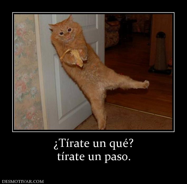 ¿Tírate un qué? tírate un paso.
