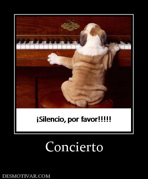 Concierto