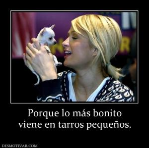 Porque lo más bonito viene en tarros pequeños.