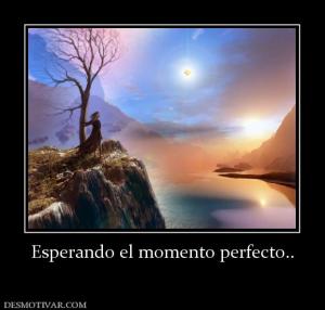 Esperando el momento perfecto..