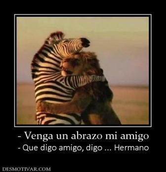 - Venga un abrazo mi amigo - Que digo amigo, digo ... Hermano