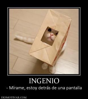 INGENIO - Mírame, estoy detrás de una pantalla