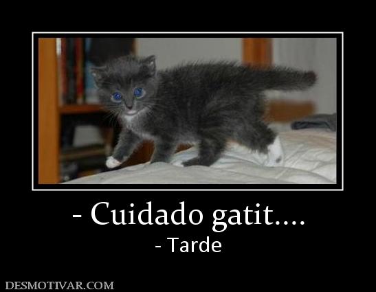 - Cuidado gatit.... - Tarde