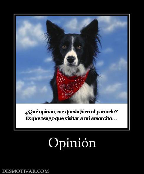 Opinión