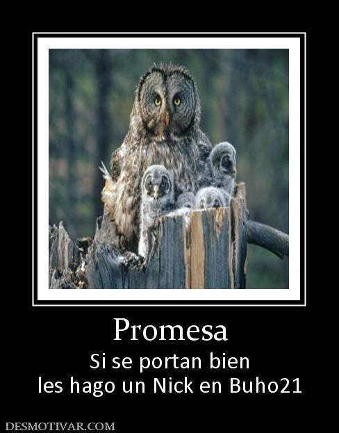Promesa Si se portan bien les hago un Nick en Buho21
