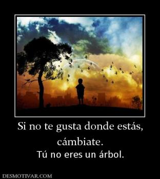 Si no te gusta donde estás, cámbiate. Tú no eres un árbol.