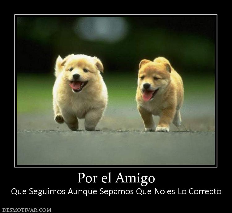 Por el Amigo Que Seguimos Aunque Sepamos Que No es Lo Correcto