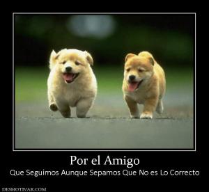 Por el Amigo Que Seguimos Aunque Sepamos Que No es Lo Correcto