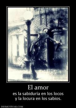El amor es la sabiduría en los locos y la locura en los sabios.