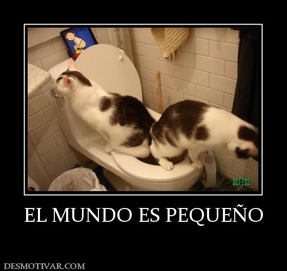 EL MUNDO ES PEQUEÑO