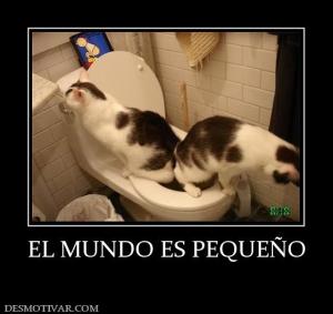EL MUNDO ES PEQUEÑO