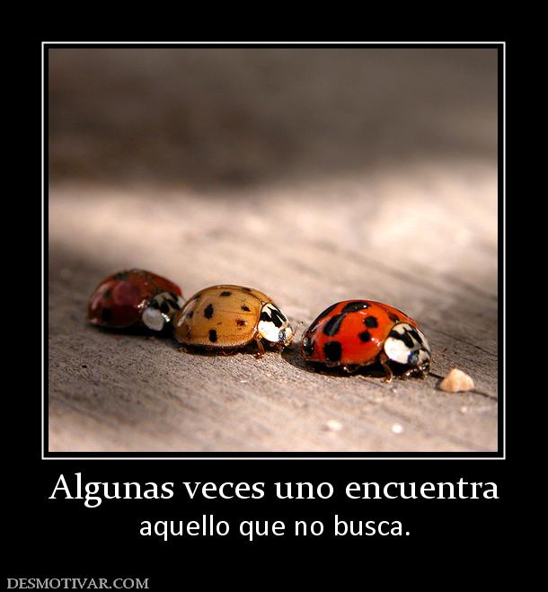 Algunas veces uno encuentra aquello que no busca.