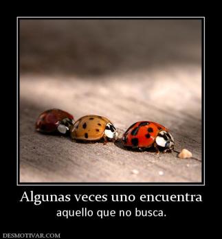Algunas veces uno encuentra aquello que no busca.