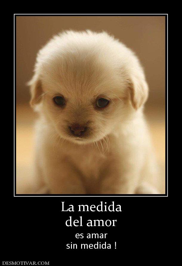 La medida del amor es amar sin medida !