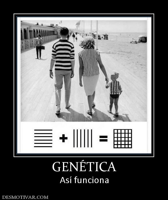 GENÉTICA Así funciona