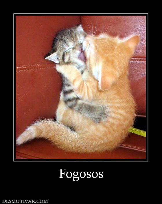 Fogosos
