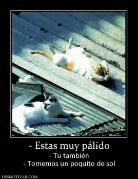 - Estas muy pálido - Tu también - Tomemos un poquito de sol