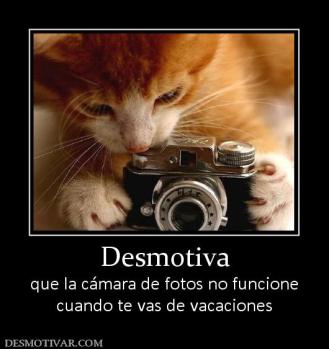 Desmotiva que la cámara de fotos no funcione cuando te vas de vacaciones