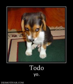 Todo yo.