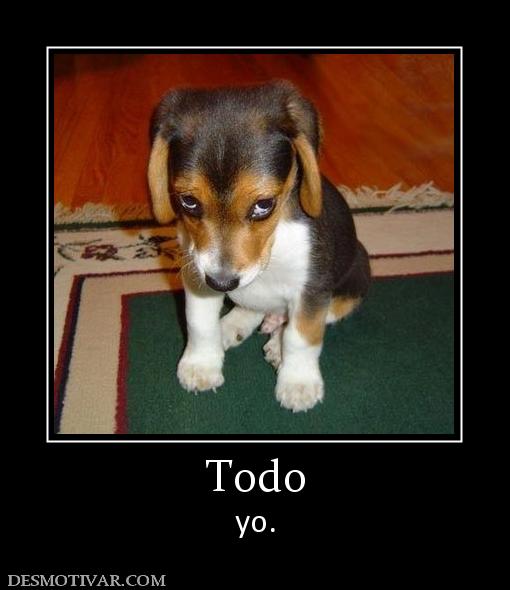 Todo yo.