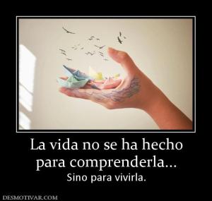 La vida no se ha hecho para comprenderla... Sino para vivirla.