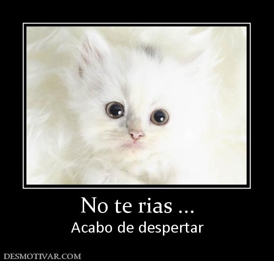 No te rias ... Acabo de despertar