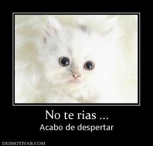 No te rias ... Acabo de despertar