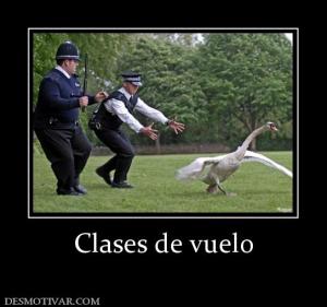 Clases de vuelo