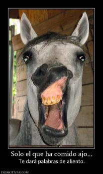 Solo el que ha comido ajo... Te dará palabras de aliento.