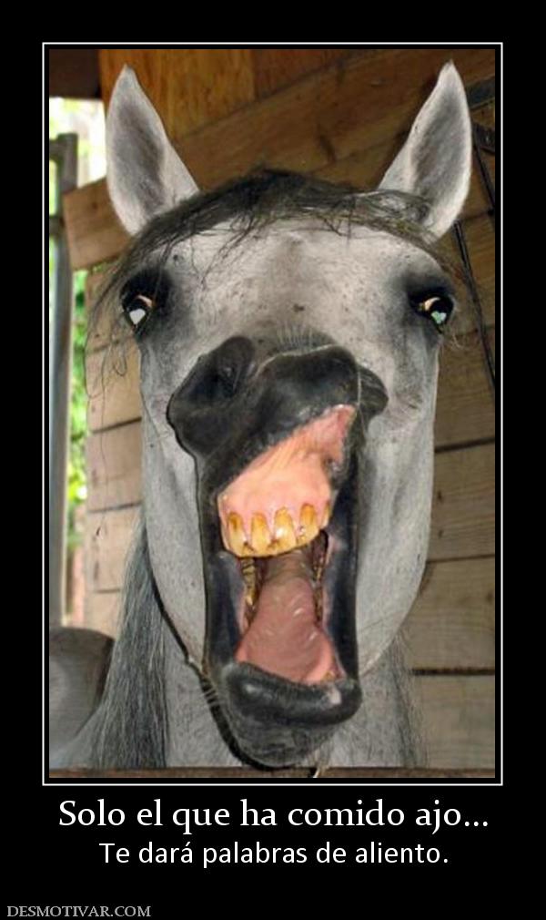 Solo el que ha comido ajo... Te dará palabras de aliento.