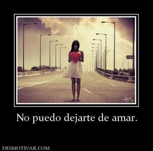 No puedo dejarte de amar.