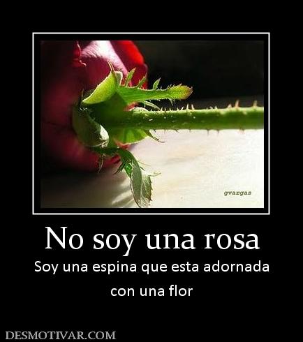 No soy una rosa Soy una espina que esta adornada con una flor