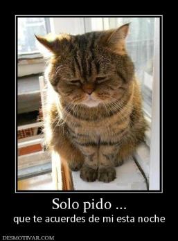 Solo pido ... que te acuerdes de mi esta noche