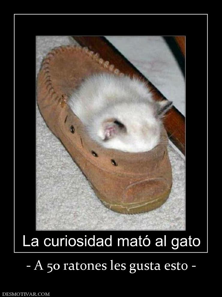 - A 50 ratones les gusta esto -
