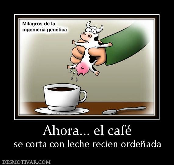 Ahora... el café se corta con leche recien ordeñada