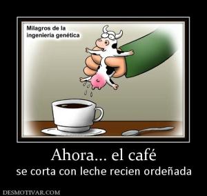 Ahora... el café se corta con leche recien ordeñada