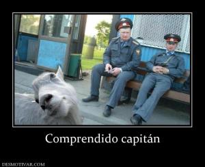 Comprendido capitán