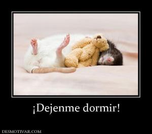 ¡Dejenme dormir!