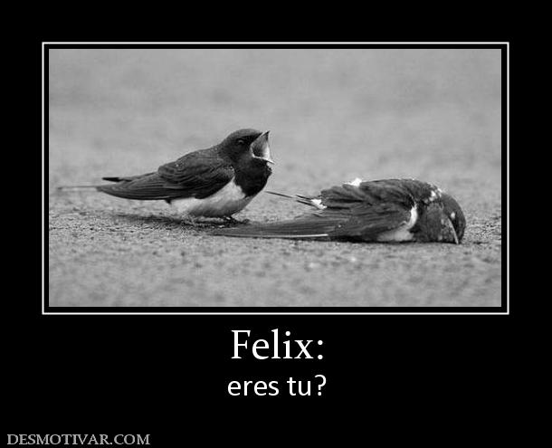 Felix: eres tu?